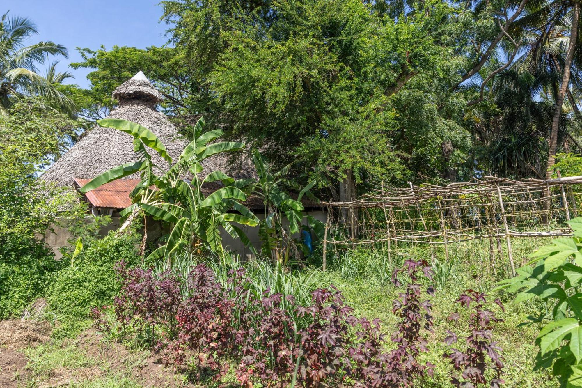 Mbweni Ruins & Gardens Previously Jungle Paradise Zanzibar Exterior photo