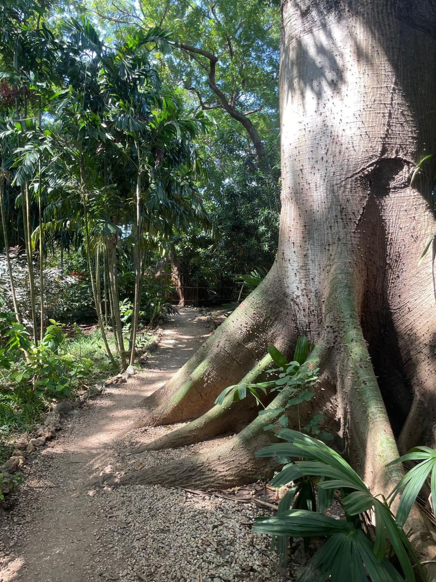 Mbweni Ruins & Gardens Previously Jungle Paradise Zanzibar Exterior photo