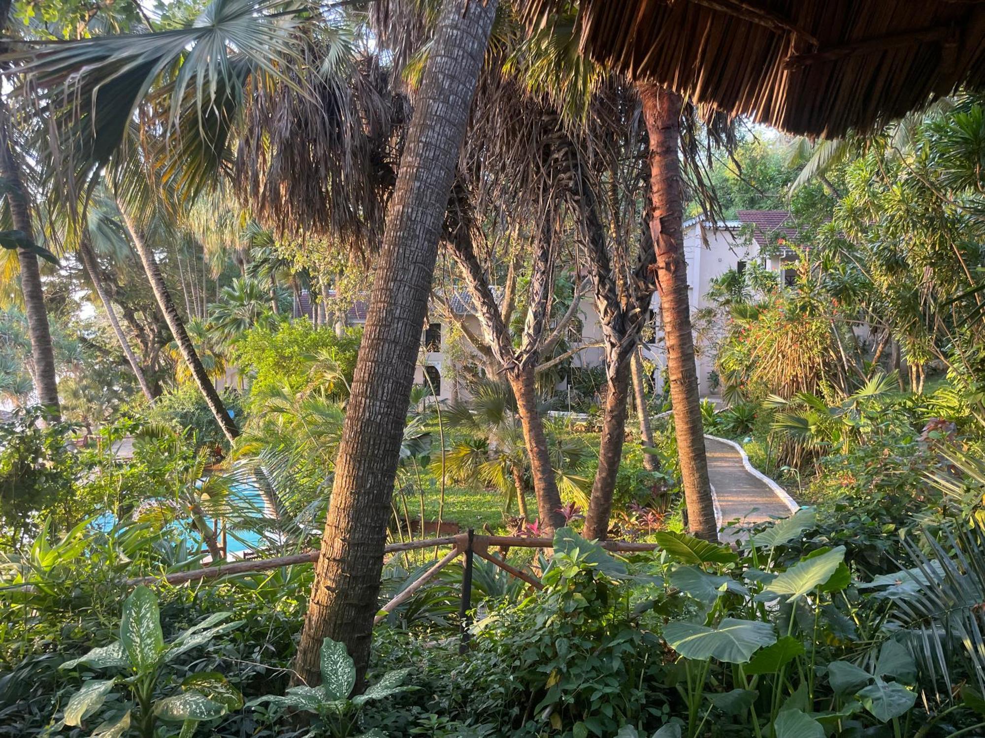 Mbweni Ruins & Gardens Previously Jungle Paradise Zanzibar Exterior photo