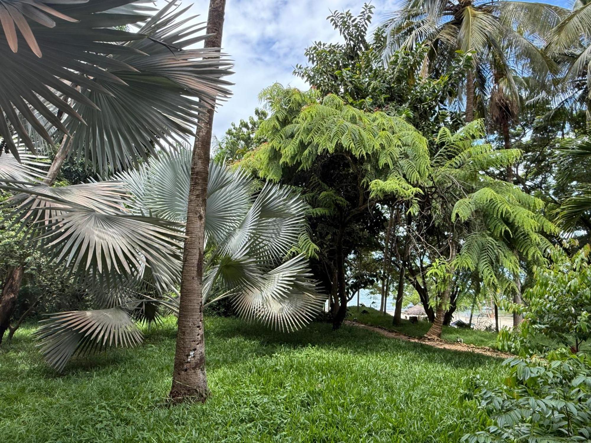 Mbweni Ruins & Gardens Previously Jungle Paradise Zanzibar Exterior photo